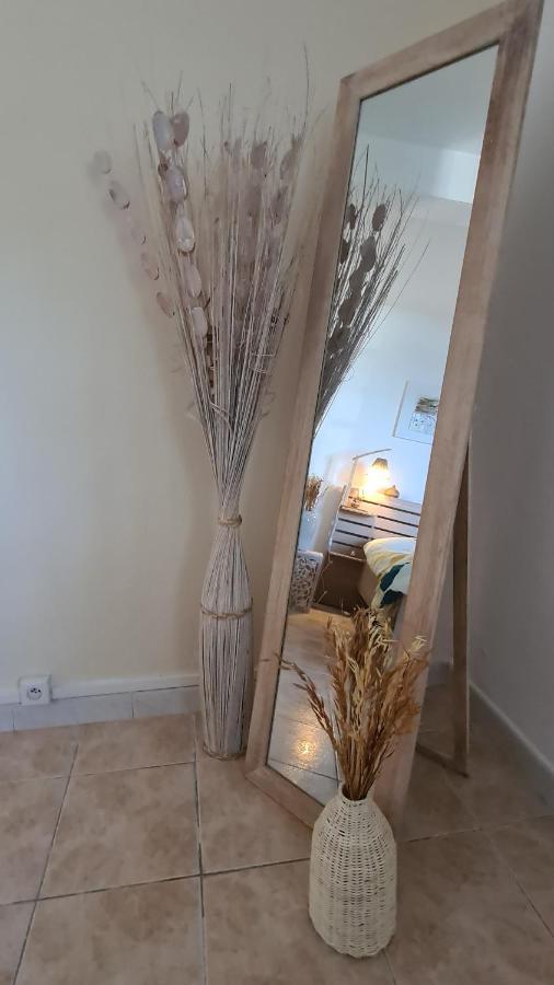 Le Cocon De Madana Apartment Saint-Joseph Ngoại thất bức ảnh