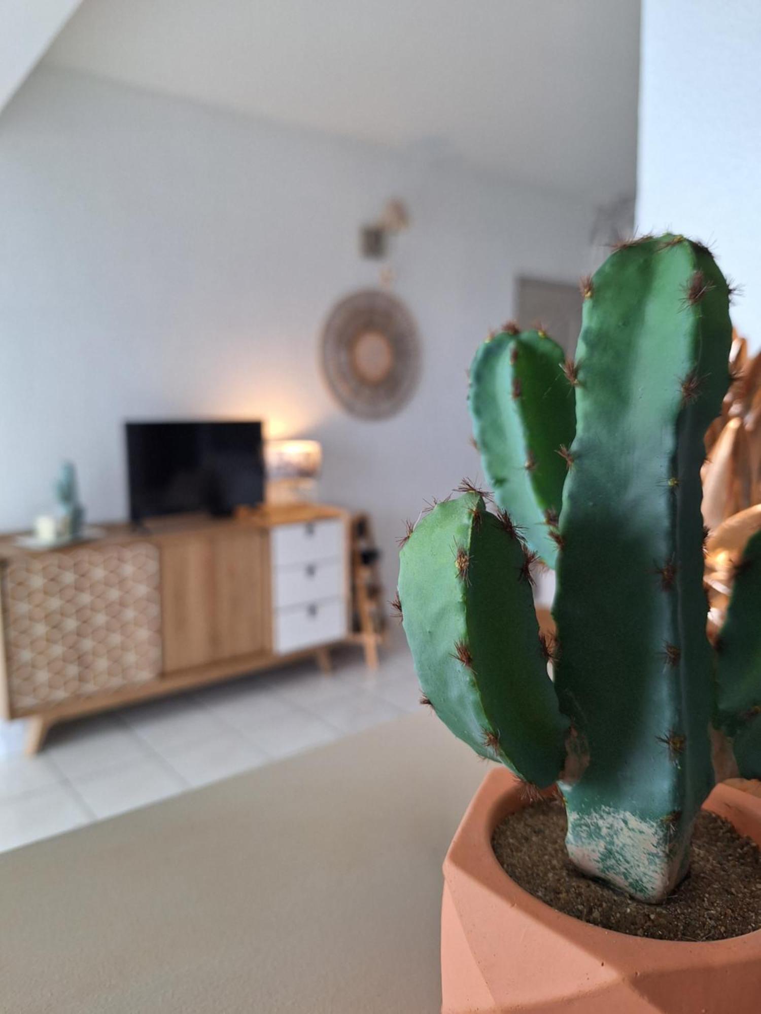 Le Cocon De Madana Apartment Saint-Joseph Ngoại thất bức ảnh
