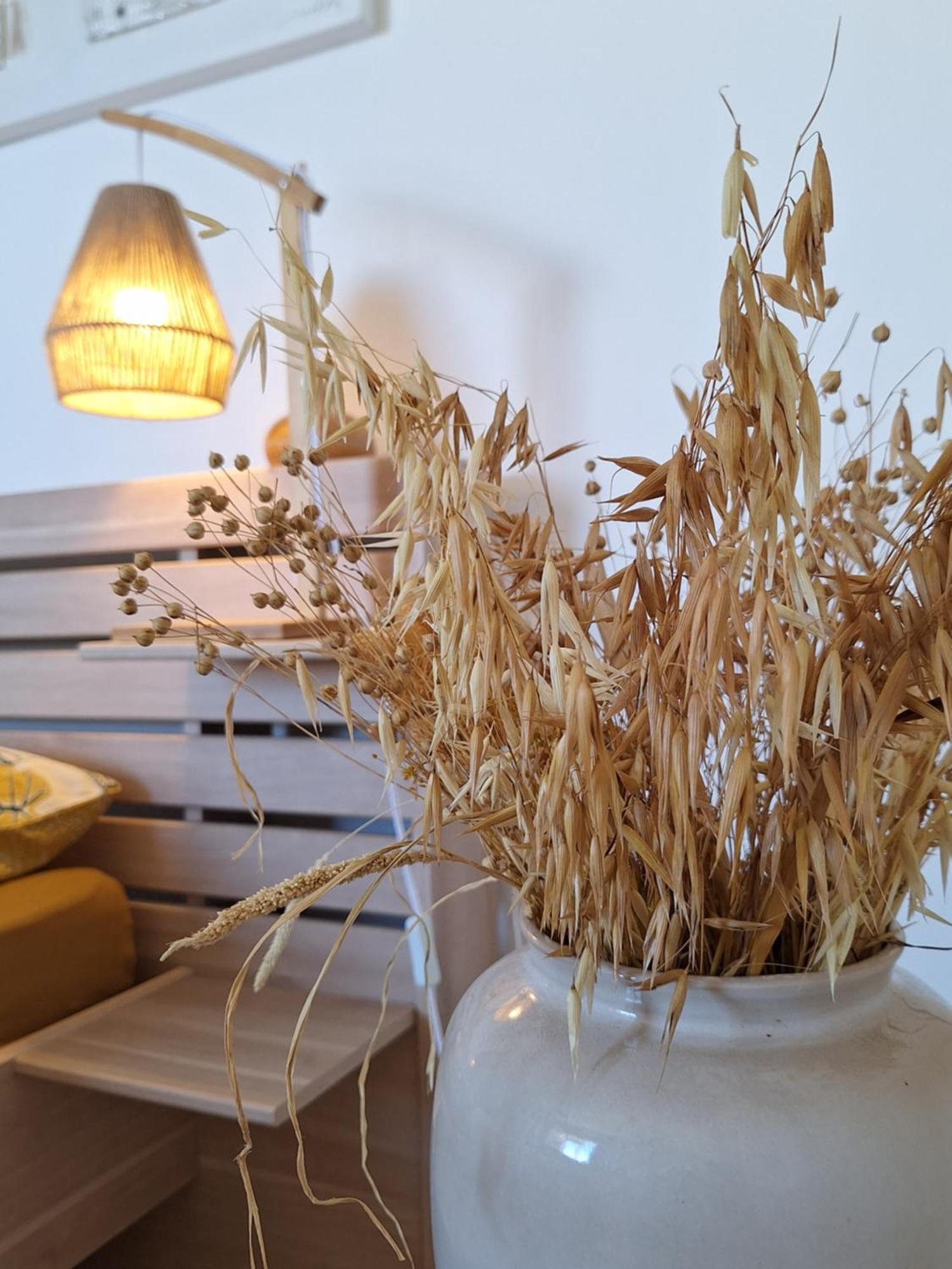 Le Cocon De Madana Apartment Saint-Joseph Ngoại thất bức ảnh
