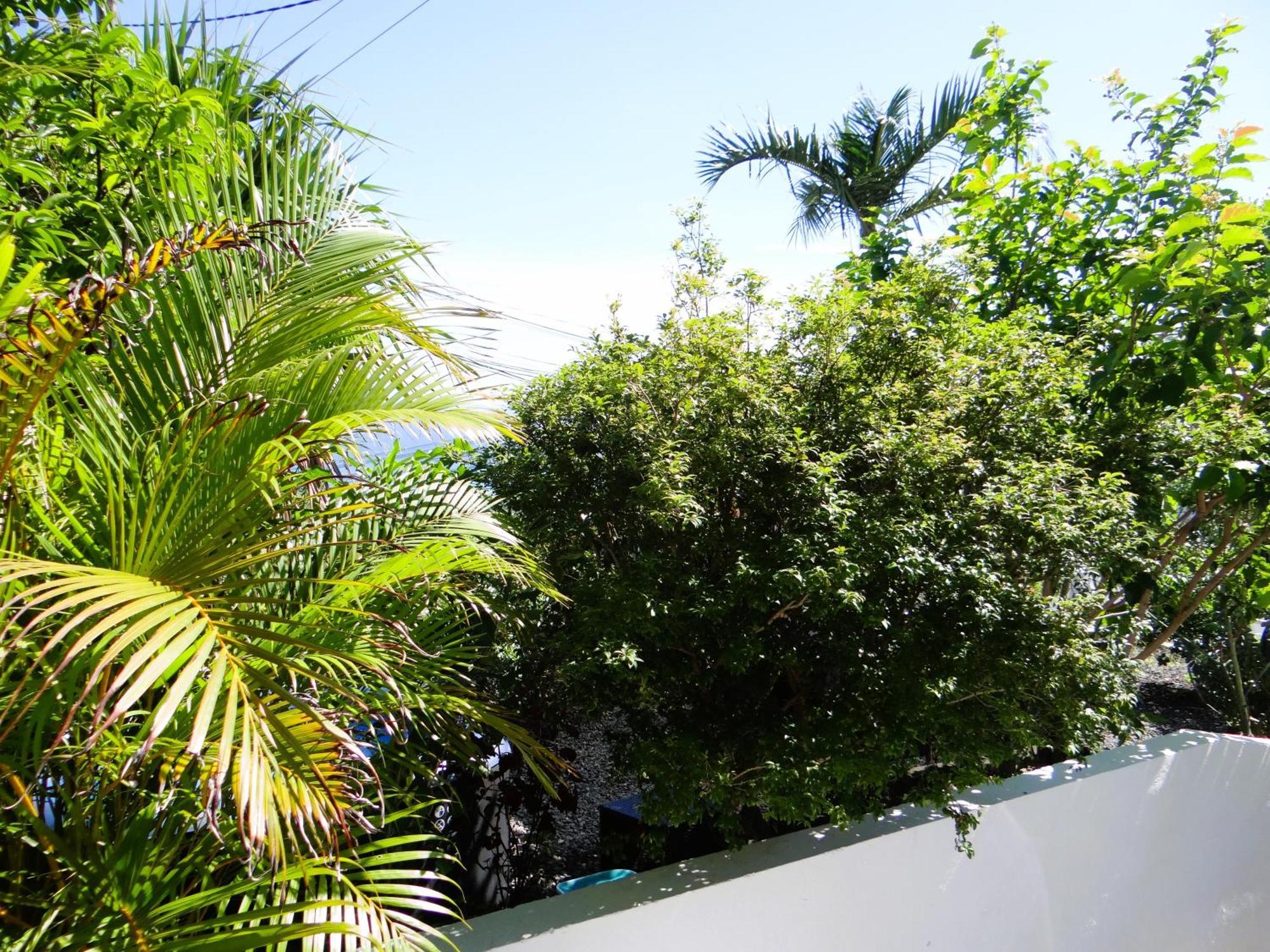 Le Cocon De Madana Apartment Saint-Joseph Ngoại thất bức ảnh