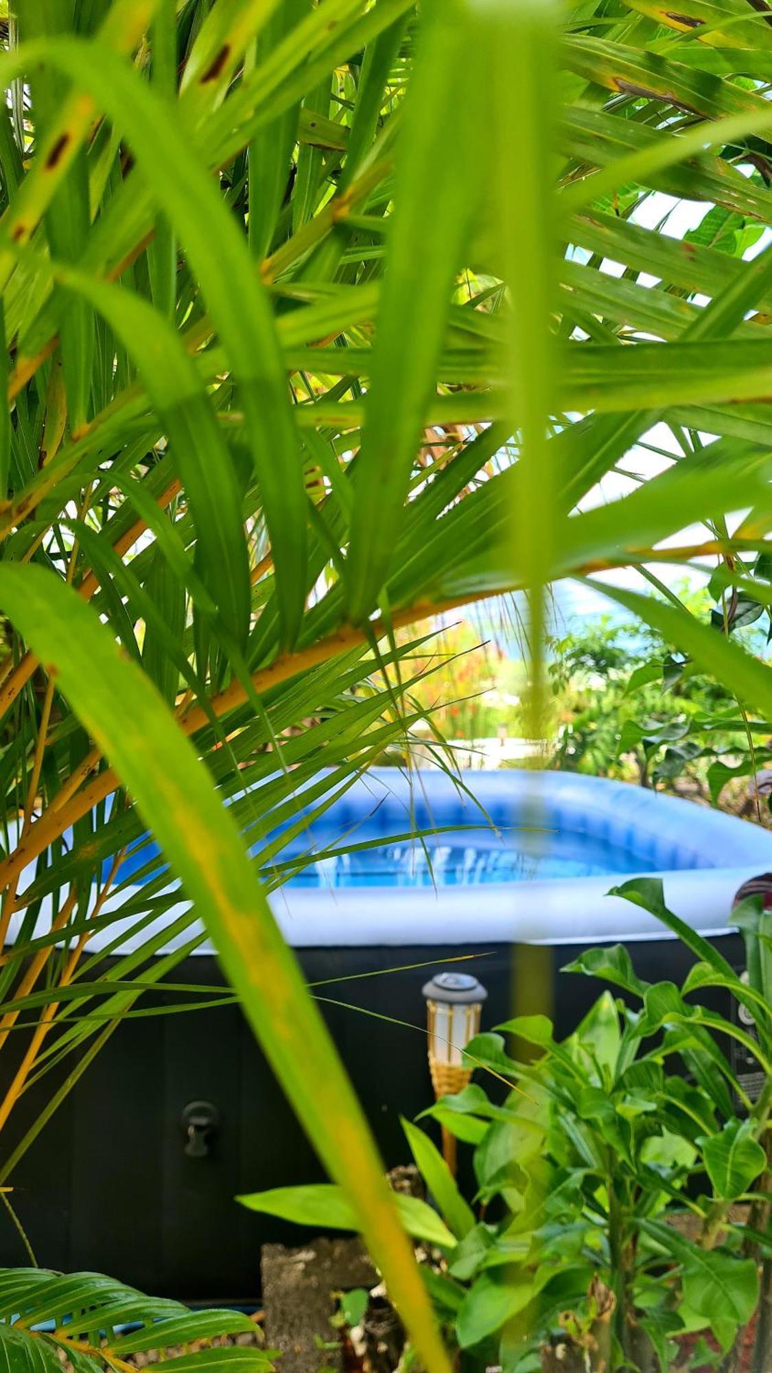 Le Cocon De Madana Apartment Saint-Joseph Ngoại thất bức ảnh